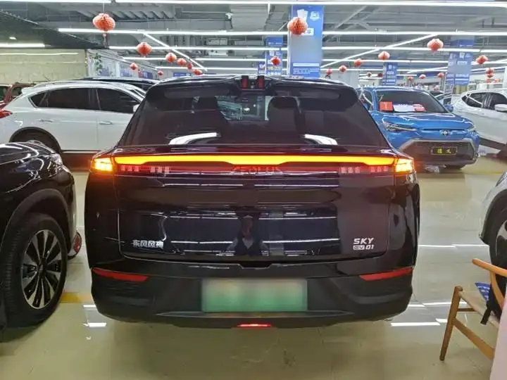 SKY EV01 2024 530km PRO 6