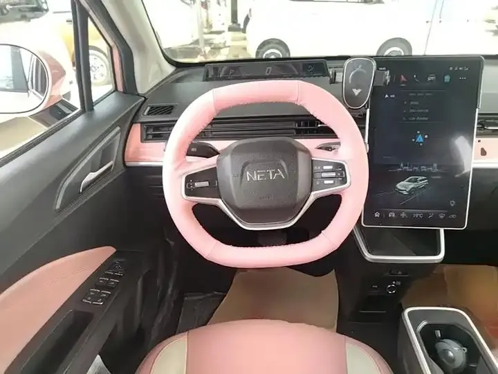 Neta V 2022 tide 400 Lite pink custom 11
