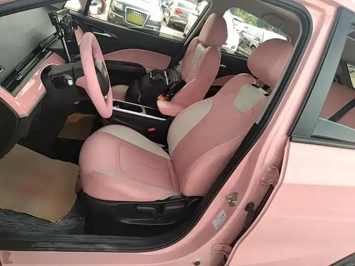 Neta V 2022 tide 400 Lite pink custom 15