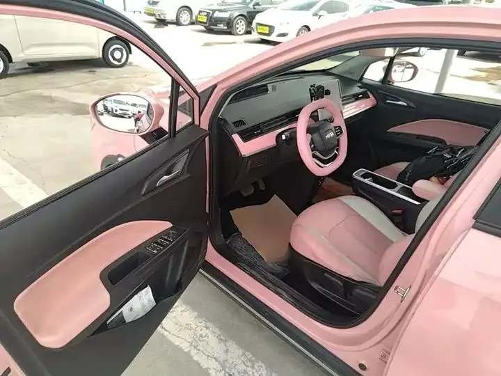 Neta V 2022 tide 400 Lite pink custom 16