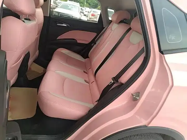 Neta V 2022 tide 400 Lite pink custom 17