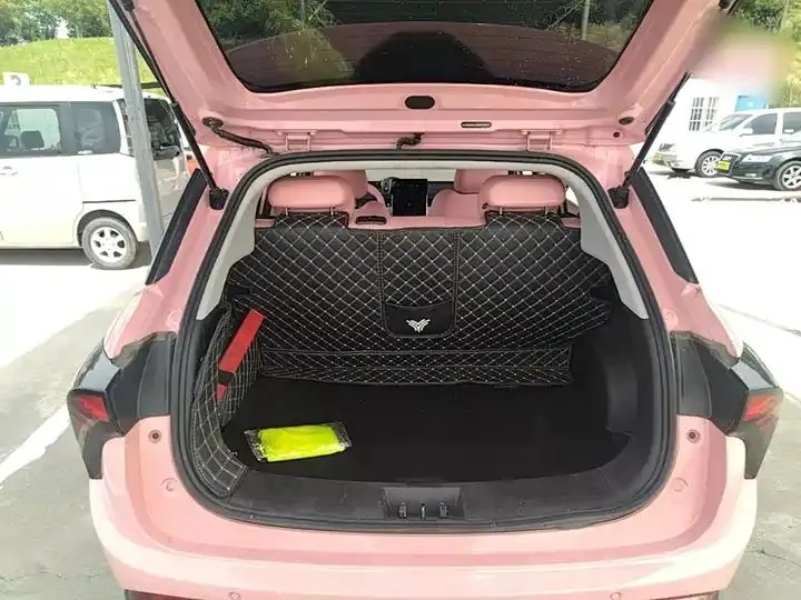 Neta V 2022 tide 400 Lite pink custom 19