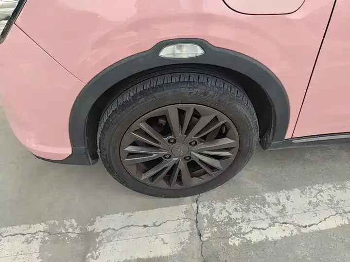 Neta V 2022 tide 400 Lite pink custom 23
