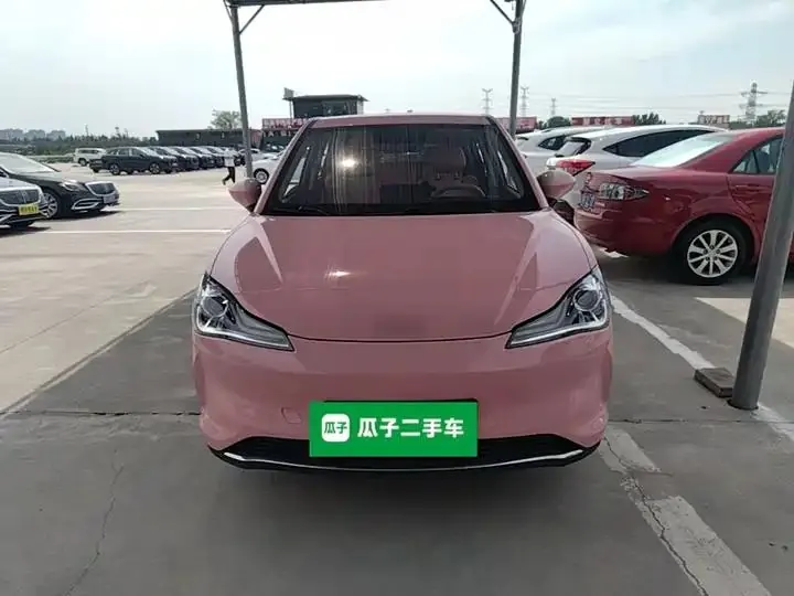 Neta V 2022 tide 400 Lite pink custom 3
