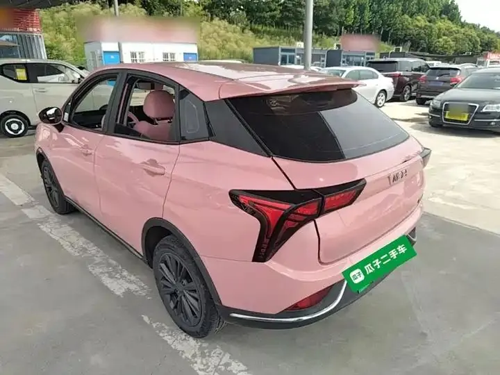Neta V 2022 tide 400 Lite pink custom 5