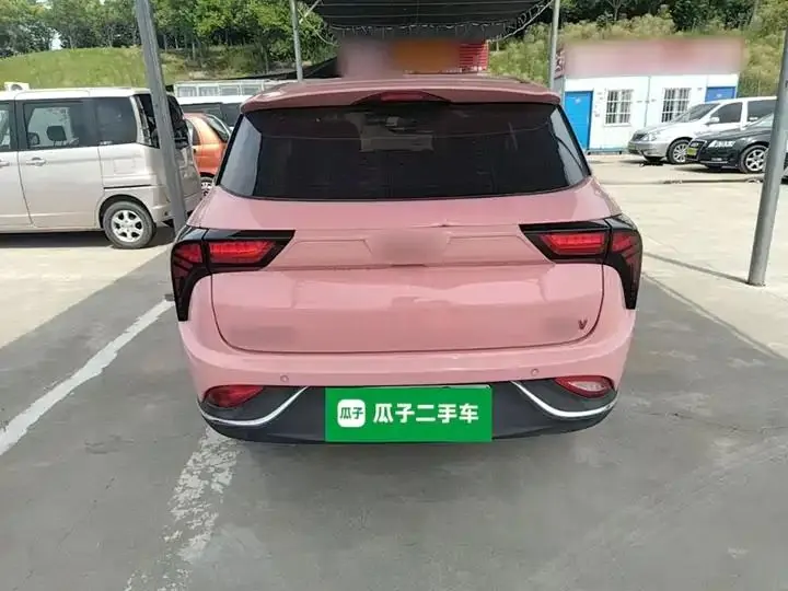 Neta V 2022 tide 400 Lite pink custom 6