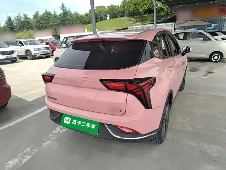 Neta V 2022 tide 400 Lite pink custom 7