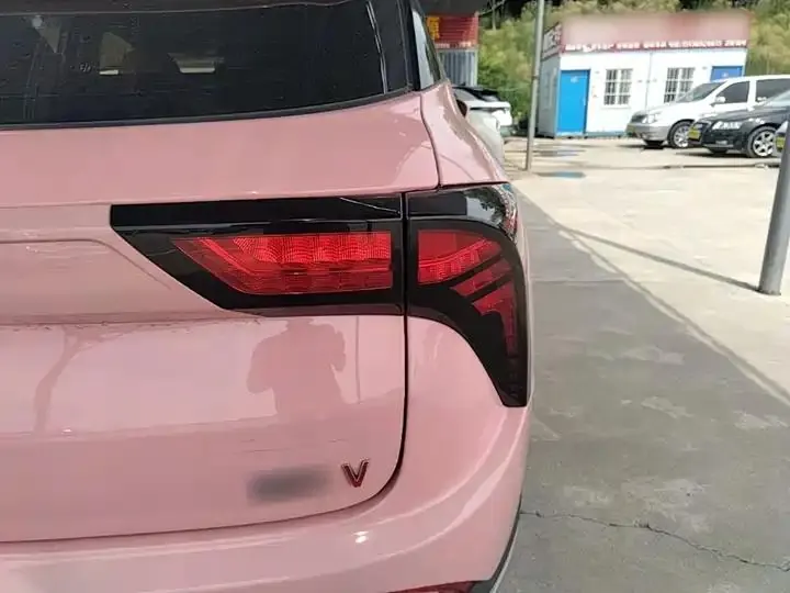 Neta V 2022 tide 400 Lite pink custom 8