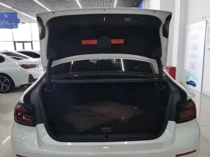 BMW 5 New Energy 2021 535Le Deluxe Suit 19