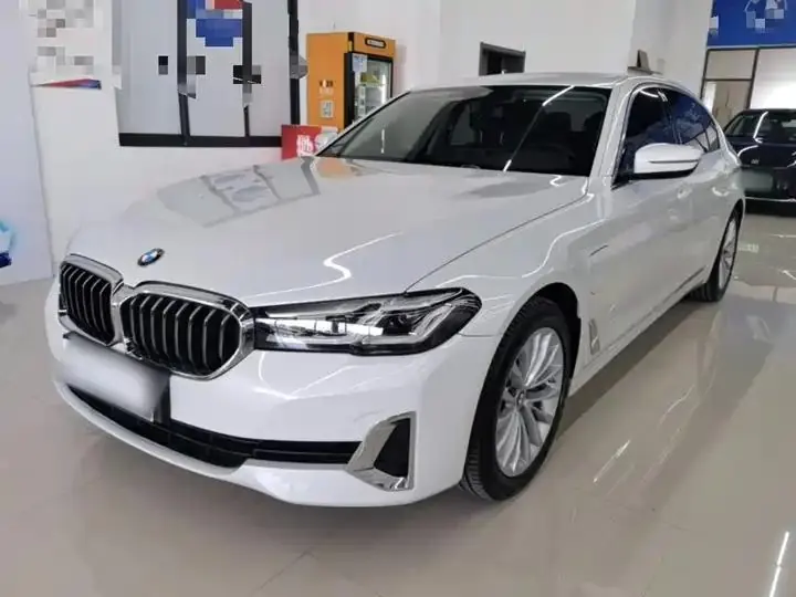 BMW 5 New Energy 2021 535Le Deluxe Suit 2