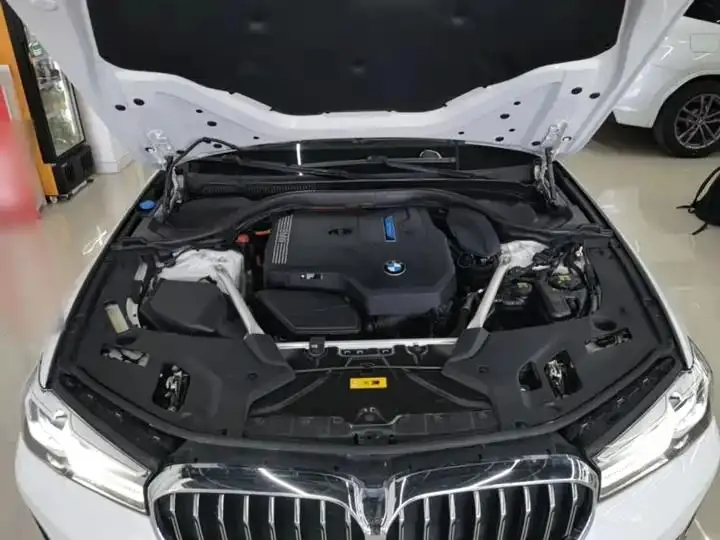 BMW 5 New Energy 2021 535Le Deluxe Suit 20
