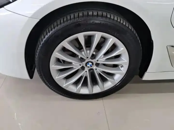BMW 5 New Energy 2021 535Le Deluxe Suit 23