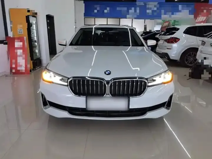 BMW 5 New Energy 2021 535Le Deluxe Suit 3