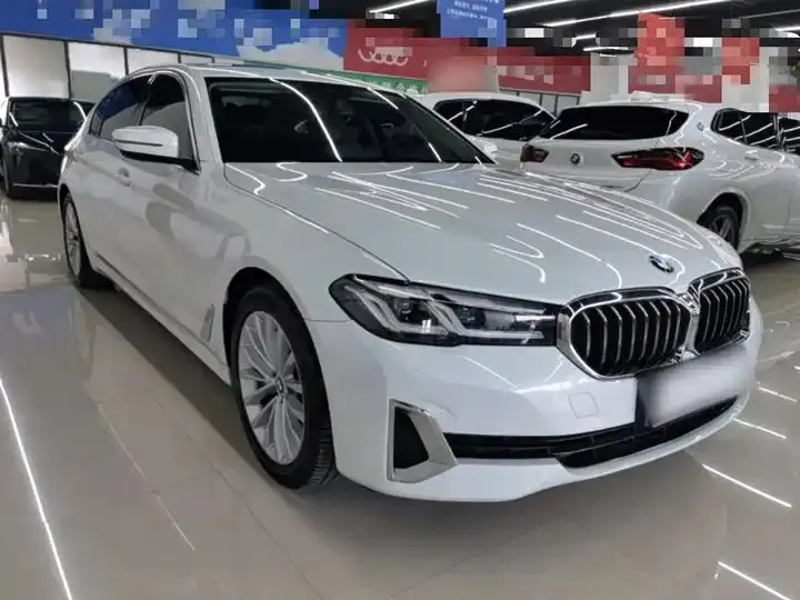BMW 5 New Energy 2021 535Le Deluxe Suit 4