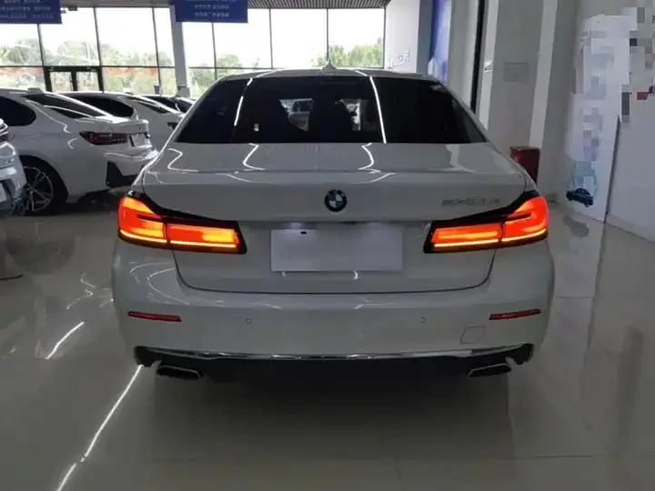 BMW 5 New Energy 2021 535Le Deluxe Suit 6