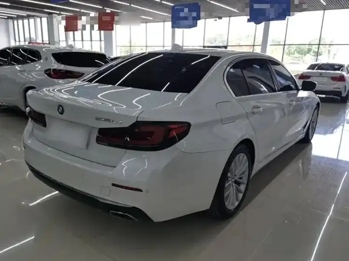 BMW 5 New Energy 2021 535Le Deluxe Suit 7
