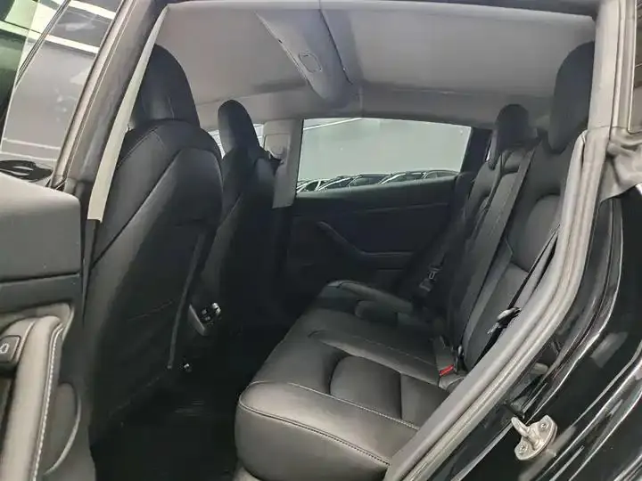 Model 3 2021 Standard Endurance Rear Drive Upgrade 3D6 11