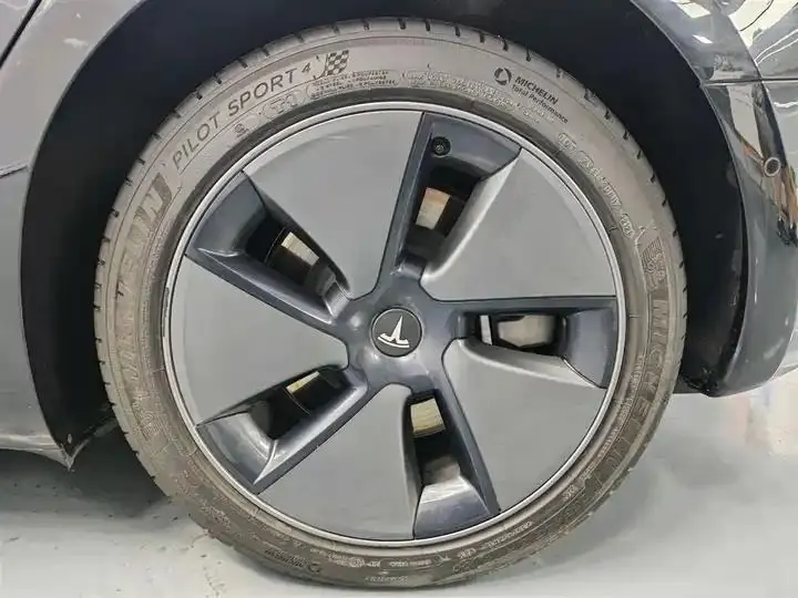Model 3 2021 Standard Endurance Rear Drive Upgrade 3D6 6