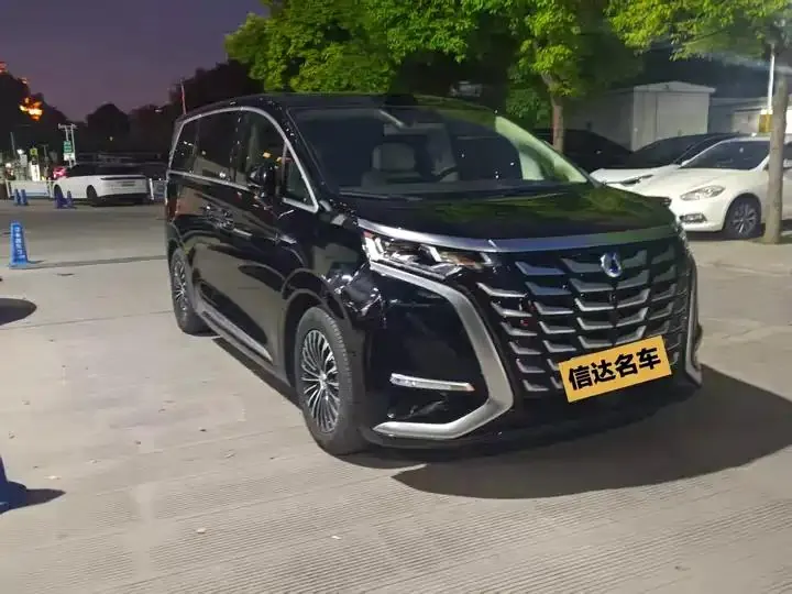 Denza D9 2025 DM-i Smart Driving Edition 1020 Four-wheel Drive Flagship 2