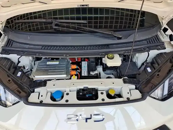 Seagull 2025 Model, 305km Range, Dynamic Edition 10