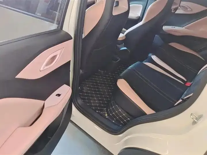 Seagull 2025 Model, 305km Range, Dynamic Edition 11