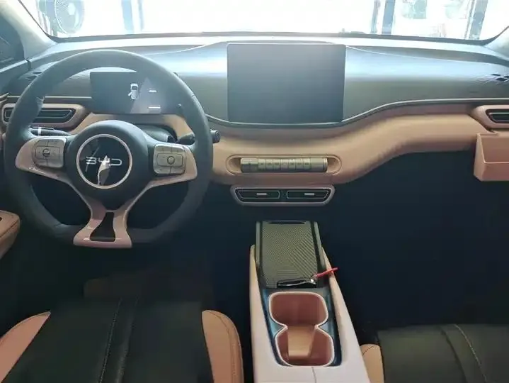 Seagull 2025 Model, 305km Range, Dynamic Edition 12