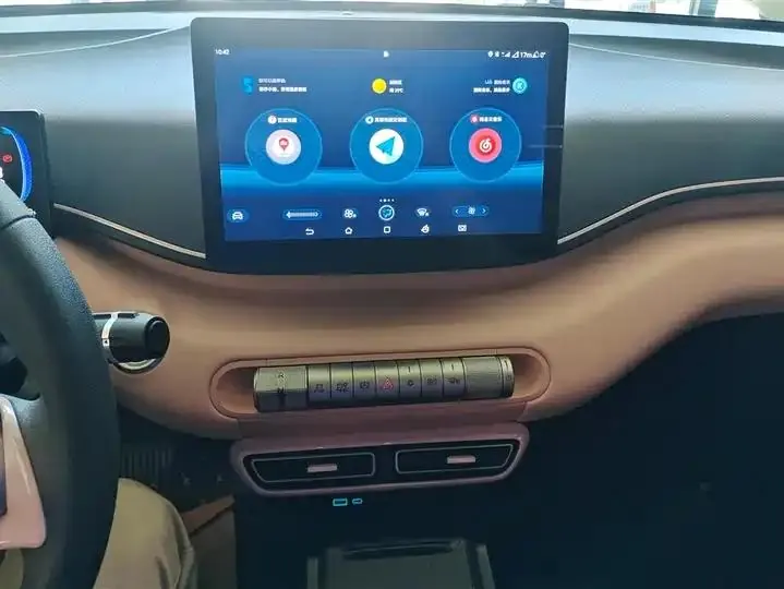 Seagull 2025 Model, 305km Range, Dynamic Edition 13