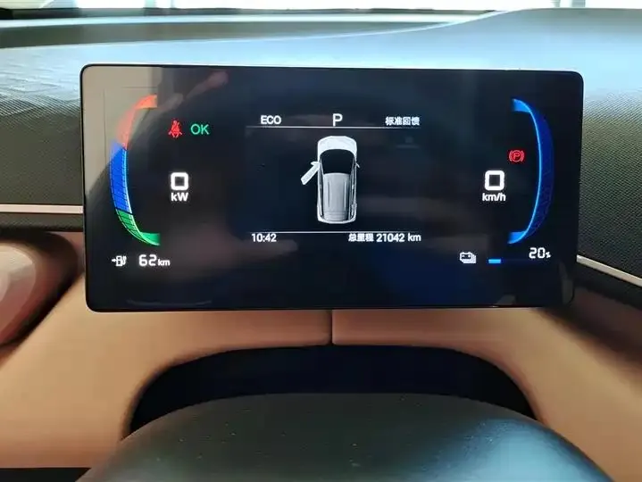 Seagull 2025 Model, 305km Range, Dynamic Edition 14