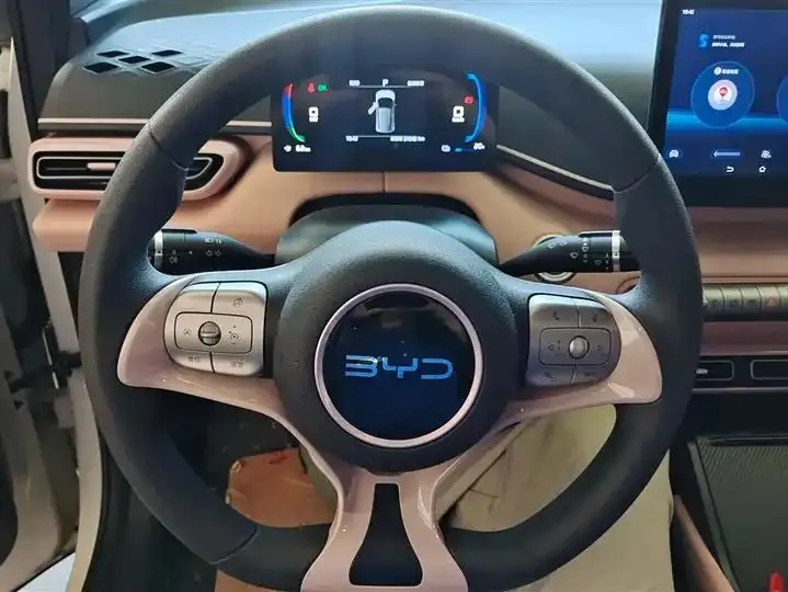 Seagull 2025 Model, 305km Range, Dynamic Edition 15