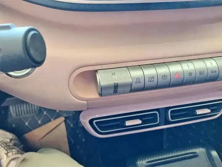 Seagull 2025 Model, 305km Range, Dynamic Edition 16