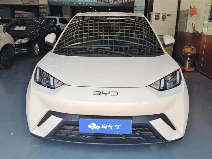 Seagull 2025 Model, 305km Range, Dynamic Edition 2