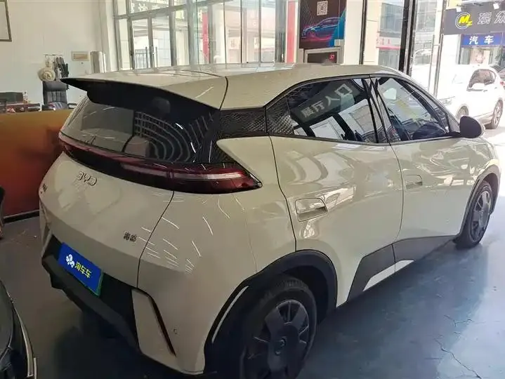 Seagull 2025 Model, 305km Range, Dynamic Edition 3