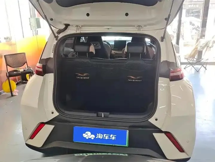 Seagull 2025 Model, 305km Range, Dynamic Edition 4