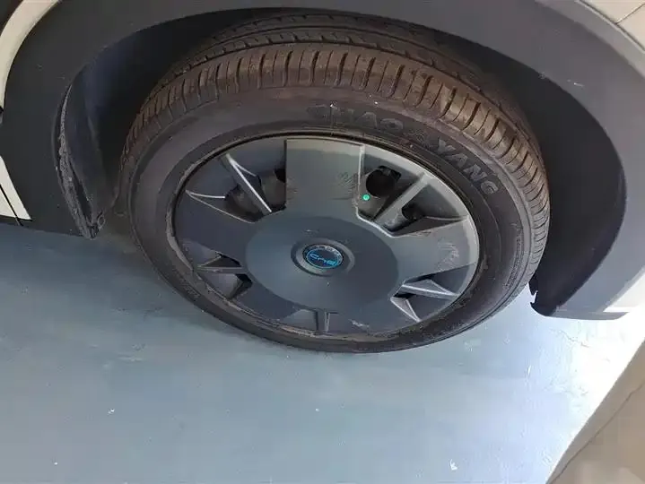 Seagull 2025 Model, 305km Range, Dynamic Edition 6