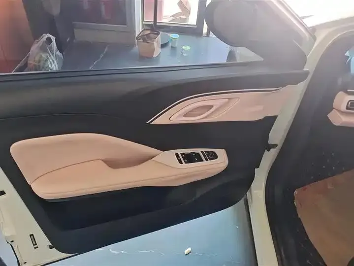 Seagull 2025 Model, 305km Range, Dynamic Edition 7