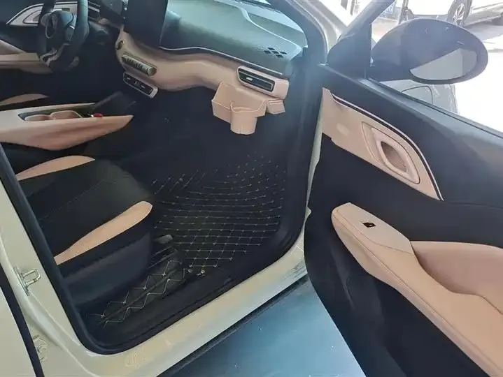 Seagull 2025 Model, 305km Range, Dynamic Edition 8