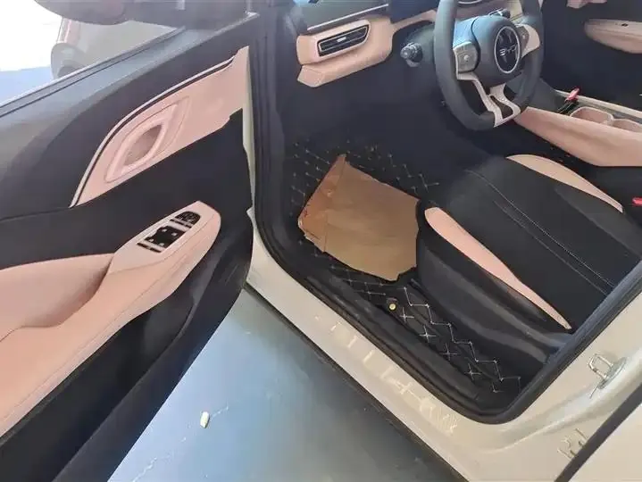 Seagull 2025 Model, 305km Range, Dynamic Edition 9
