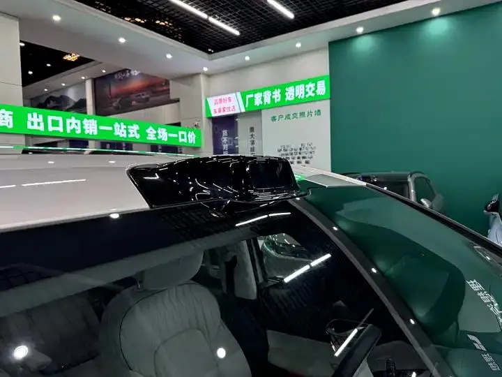 Voyah Dreamer 2025 PHEV Four-wheel Drive Flagship Dry Kun Edition 24