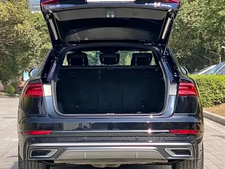 Audi Q8 2021 55 TFSI Selected Dynamic Type 17