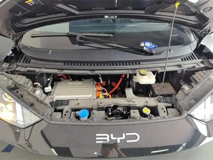 Seagull 2025 Smart Driving Edition 305km Vital Edition 10