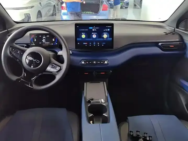 Seagull 2025 Smart Driving Edition 305km Vital Edition 12