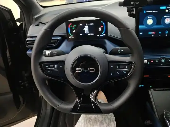 Seagull 2025 Smart Driving Edition 305km Vital Edition 15