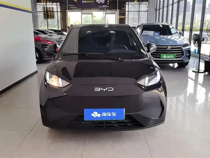 Seagull 2025 Smart Driving Edition 305km Vital Edition 2