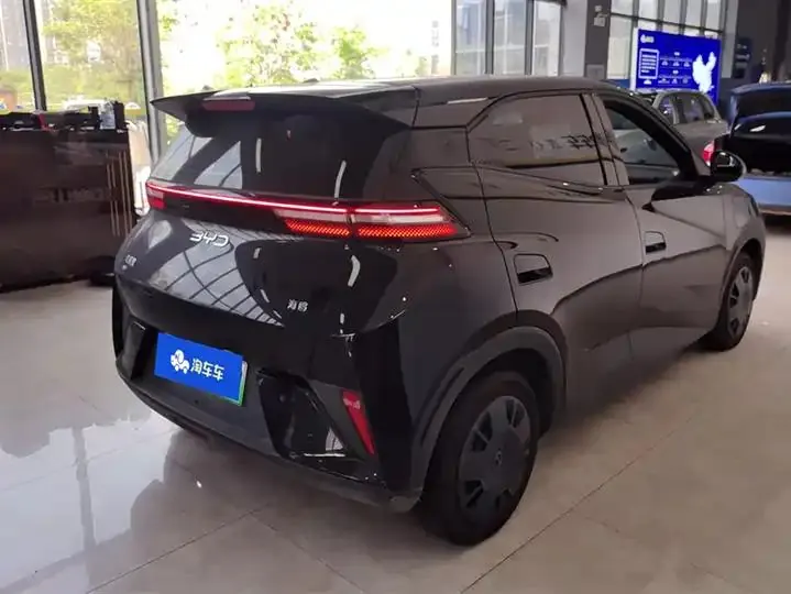 Seagull 2025 Smart Driving Edition 305km Vital Edition 3