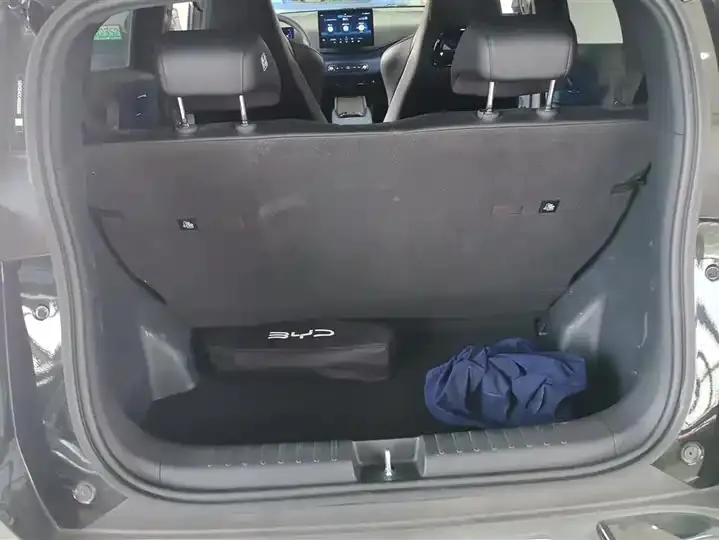Seagull 2025 Smart Driving Edition 305km Vital Edition 4