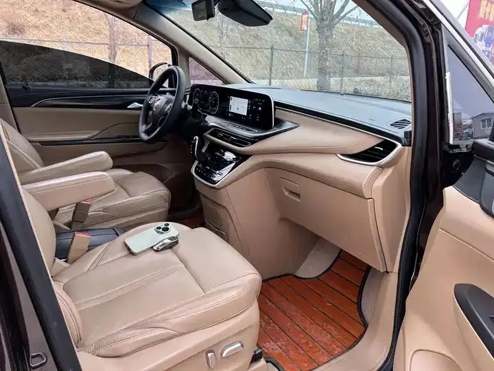 Buick GL8 2021 ES Land Business 653T Prestige Model 6