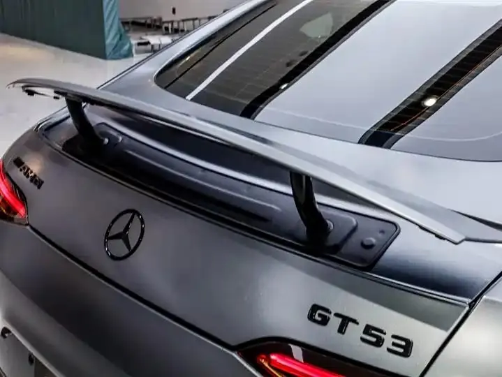 2020 AMG GT AMG GT 50 Four-Door Coupe 10