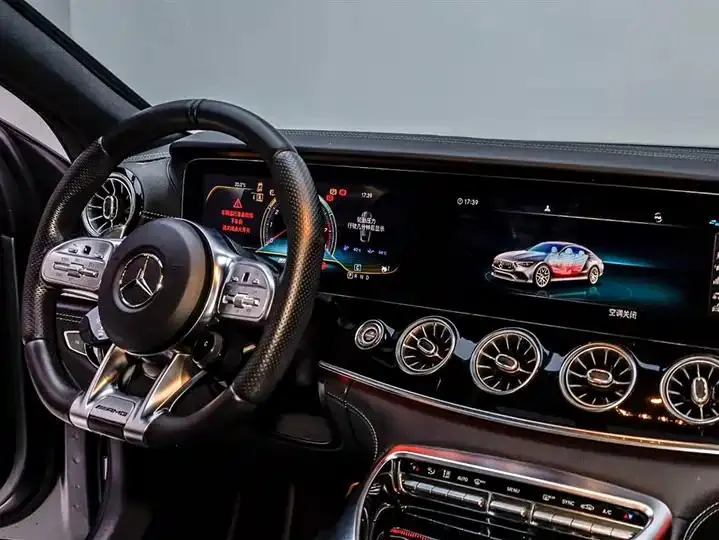 2020 AMG GT AMG GT 50 Four-Door Coupe 13