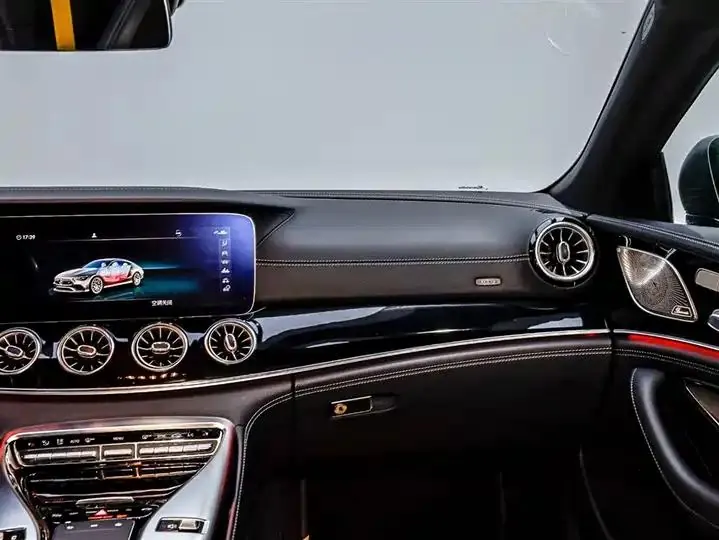 2020 AMG GT AMG GT 50 Four-Door Coupe 17