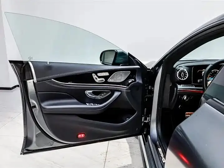 2020 AMG GT AMG GT 50 Four-Door Coupe 28